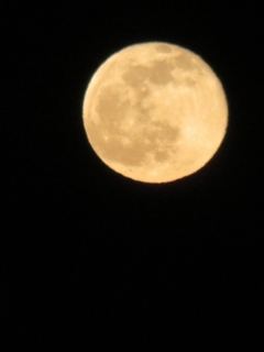 0505-moon.jpg