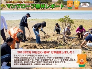 fuji-mangrove-10000.jpg